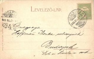 1905 Szentágota, Agnetheln, Agnita; Evangélikus felső elemi iskola / Ev. Hauptvolksschule / school (...