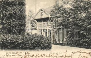 1910 Borszék, Borsec; Lobogó-fürdő / spa (EB)