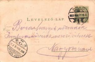 1903 Arad, este. Fényhez tartandó képeslap / night. hold to light (kis szakadás / small tear)