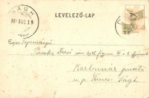 1904 Dézna, Dezna; Kilátás a vár Margit páholyából / view from the castle  (szakadás / tear)