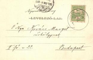 1905 Szováta-sósgyógyfürdő, Sovata; strand. Weinrich S. utóda Petróczy G. felvétele / swimming pool