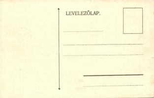 A Magyar Királyi Folyam- és Tengerhajózási Részvénytársaság vonala Báziástól-Turn-Severinig / Map of...