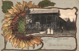 Darkov, Bad Darkau; Jodbad / iodine spa. Art Nouveau, flower, litho frame (fa)