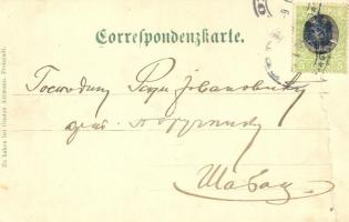 Darkov, Bad Darkau; Jodbad / iodine spa. Art Nouveau, flower, litho frame (fa)