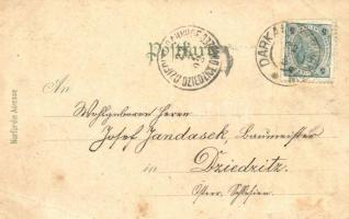 1902 Darkov, Bad Darkau; Dependance I és II, gyógyház, Gyermeknek otthona, Royi kastély / Children&#...