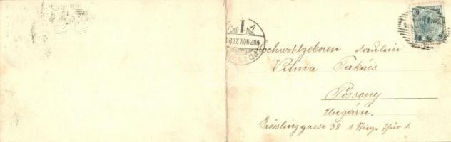 1902 Maribor, Marburg an der Drau; panoramacard