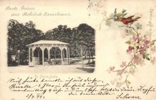 1899 Rogaska Slatina, Rohitsch-Sauerbrunn; St. Styria Quelle / spring. E. Rufitsch floral, litho