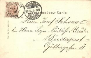 1899 Rogaska Slatina, Rohitsch-Sauerbrunn; St. Styria Quelle / spring. E. Rufitsch floral, litho