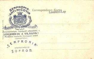 Celje, Cilli; Partie an der Wogleina. Verlag von Fritz Rasch / Voglajna. Forest litho frame. Sempron...