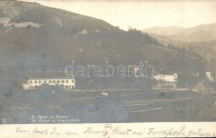 1904 Pivka, St. Petra na Krasu, San Pietro del Carso, St. Peter in Krain; Bahnhof / Postaja / railway station with trains. photo (fl)