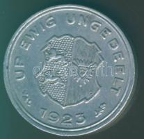 Német Birodalom / Weimari Köztársaság / Provinz Schleswig-Holstein 5 Hundertstel Gutschrifts-Marke Alu T:3+