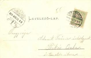 1903 Gyopáros (Orosháza), Vendéglői pavilon, étterem (EK)