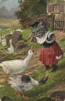 Cat and geese, humor, art postcard. T. S. N. Serie 1646. (6 Dess.) s: Arthur Thiele (kopott sarkak / worn corners)