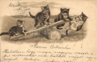 1900 Cats on teeter, E. S. D. B. Serie 7047. litho Emb. (EK)