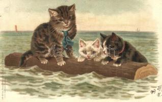 1899 Cats, art postcard, Lith. Artist Anstalt München Serie 50. No. 18411. litho
