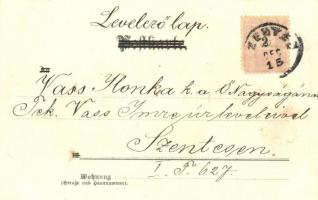 1899 Cats, art postcard, Lith. Artist Anstalt München Serie 50. No. 18411. litho