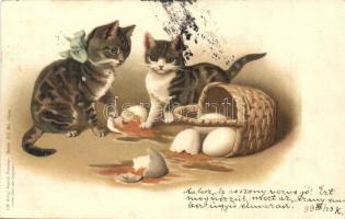 1899 Cats, art postcard, Lith. Artist Anstalt München Serie 50. No. 18409. litho