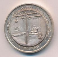 Lapis András (1942-) 1988. "10 éves a dunakeszi Kőrösi Csoma Sándor Általános Iskola / Egy szeg...