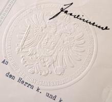 1915 Tartalékos katonaorvosi kinevezés címeres szárazpecséttel / Appointment for military doctor wit...