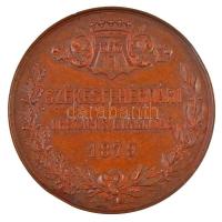 1879. "Székesfehérvári Országos Kiállítás" Br emlékérem (44,8g/50mm) T:1-,2 kis ph. / 
Hu...