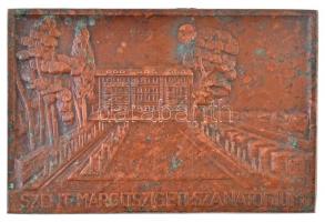 ~1920-1930. Szent Margitszigeti Szanatórium Cu lemezplakett, LUDVIG E BPEST gyártói jelzéssel, hátoldalán rögzítésre szolgáló csavarok (53g/66x100mm) T:2- patina, szennyeződés / Hungary ~1920-1930. Szent Margitszigeti Szanatórium (Sanatorium of Saint Margaret Island) one-sided Cu plaque with LUDVIG E BPEST makers mark and with screws on back (53g/66x100mm) C:VF patina, stain