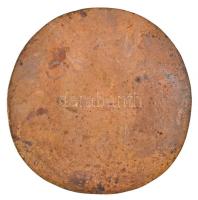 Olcsai Kiss Zoltán (1895-1981) ~1919. "Liget Károly 1890-1919" egyoldalas Br plakett (704g...