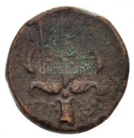 Szicília / Szürakuszai / II. Hierón Kr. e. 274-216. AE18 (6g) T:2- / 
Sicily / Syracuse / Hiero II ...