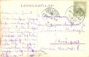 1906 Zsombolya, Jimbolia; Gróf Csekonics-féle kert. W.L. 430. / castle garden