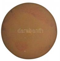 Székely Károly (1882-1941) 1917. "A Hadirepülőgép kiállítás emlékére" egyoldalas Br emléké...