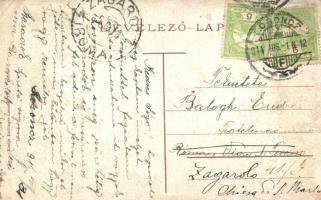 1914 Losonc, Lucenec; Kossuth Lajos utca, Molnár János üzlete, Bicskei Zoltán Könyvnyomda és papírüz...