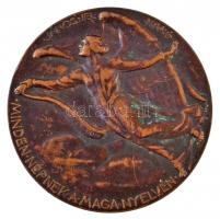 Berán Lajos (1882-1943) 1934. "Luther Márton" Br emlékérem (35g/41mm) T:2 ph., kis patina ...