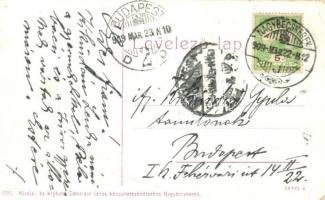 1909 Nagybecskerek, Zrenjanin, Veliki Beckerek; Erzsébet híd. Kiadja és kapható Schneider János köny...