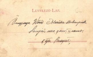 Tőkésújfalu, Klátova Nová Ves; Marczibányi kastély. Kiadja Platzko Gyula / castle (EB)