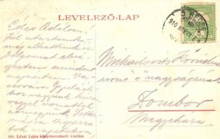 1910 Óbecse, Stari Becej; Szerb iskola, Vadászkürt szálloda. Lévai Lajos 620. / Serbian school, Hote...
