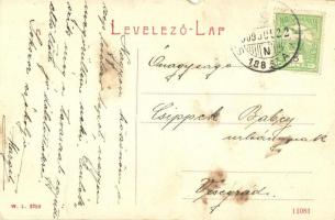 1909 Szinérváralja, Seini; Római katolikus templom, emlékmű, lovaskocsi. W.L. 2380. / Roman Catholic...