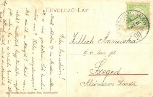 1904 Arad, Konviktus, lovaskocsik. Krausz Paulin kiadása 977. / boarding school, horse carts (fa)