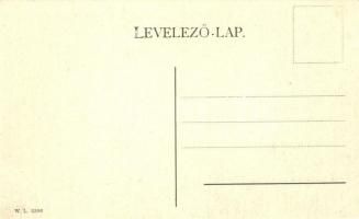 Abrudbánya, Abrud; W.L. 3206. / general view