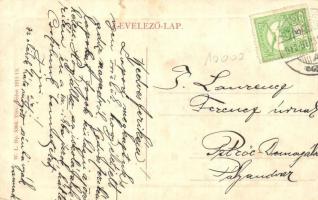 Petrozsény, Petrosani; Hegyi juhászcsorda, juhnyáj. W. L. Bp. 5394. / flock of mountain sheep (fa)