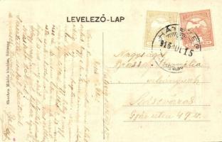 1916 Hátszeg, Wallenthal, Hateg; Főszolgabírói lak. Sbuchea Miklós kiadása / judge's villa