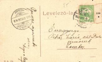 Palánka, Bácska-Palánka, Backa Palanka; Fő utca, Groll Mihály üzlete. W. L. 674. / main street, shop...