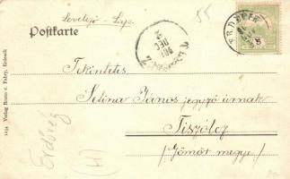 1906 Erdővég, Erdewik, Erdevik; Római katolikus templom, Evangélikus szláv templom. Verlag Bruno v. ...