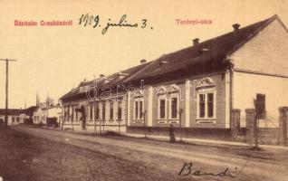 1909 Orosháza, Terényi utca, W.L. 1510. (EK)