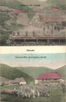 Zányka-fürdő, Zanka Kúpele; Neuman féle fatelep, fűrésztelep, Neuman féle iparvágány rakodó. Kiadja Neuman Herman / sawmill, loading site of industrial railway platforms and tracks