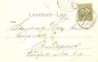 1906 Ungvár, Uzshorod, Uzhorod; Nagy utca, Pénzügyi palota. Kiadja Steinfeld Dezső / street view, Pa...