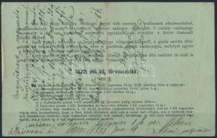 1881 Cselédvadászjegy Hódmezővásárhelyen kiállítva, 1/881 sz. / Hunting licence for servant (hajtott...