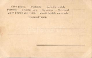 Prof. Theodor Billroth, Prussian-born Austrian surgeon and amateur musician (EK)