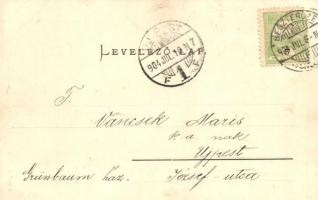 1904 Beszterce, Bistritz, Bistrita; Schullerwald erdő, étterem / forest restaurant (ázott sarok / we...