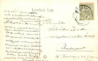 1906 Lapujtő (Karancslapujtő), Magyarok Nagyasszonya Római katolikus templom