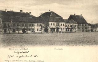 Szászsebes, Mühlbach, Sebes; Fő tér, üzlet. Adolf Weissörtel & Co. / Hauptplatz / main square, shop