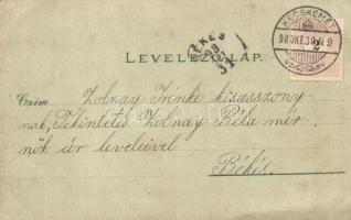 1898 Kecskemét, Fő tér, Zsinagóga, színház, Katona József és Szentháromság szobor, Katolikus főgimná...